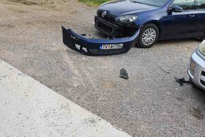 Tivat: Lutajuća stoka oštetila dvoje vozila