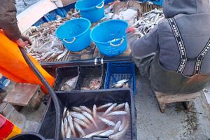 Ribarska inspekcija: Suzbićemo prodaju ribe na ulici, potrebna nam...
