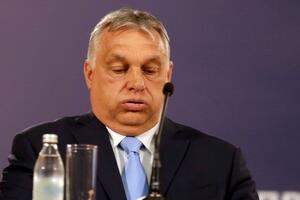 Viktor Orban najavio referendum o kontroverznom zakonu koji je...