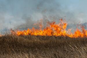 Nikšić: Požari aktivni na više lokacija, u gašenju pomažu i...