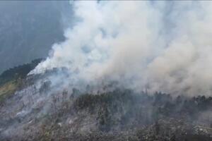Pljevlja: Gori na Bunetini, požar dijelom lokalizovan