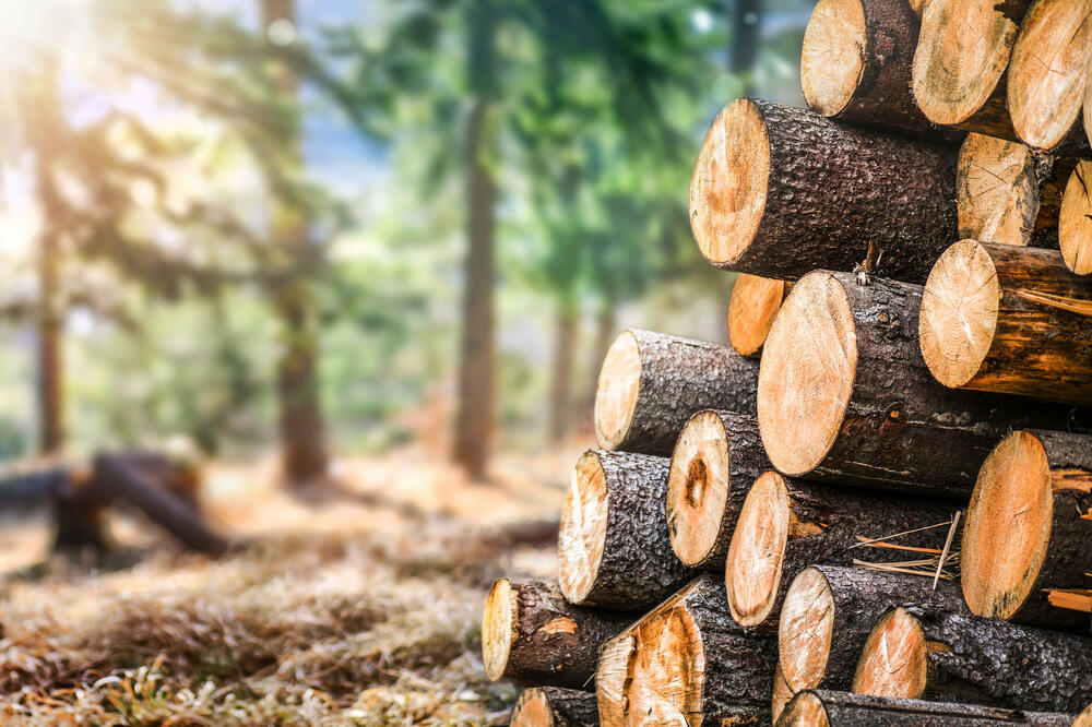 Drvoprerađivači sa sjevera prijete i ustankom (ilustracija), Foto: Shutterstock