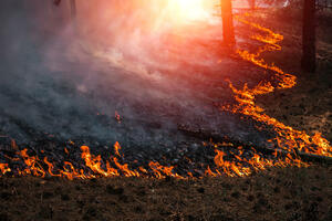 Čavić: Stanje sa požarima u Pljevljima stabilno, ali i dalje...
