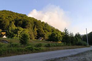 Požar iznad Trebaljeva: Vatra može da ugrozi šumu i objekte
