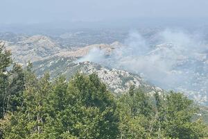 Aktivan požar na Bukovici u NP Lovćen, sumnja se da je podmetnut