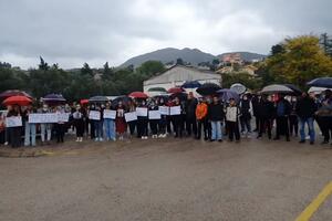 Protest u Baru: Ispitati sporne slučajeve, da se javi ko je...