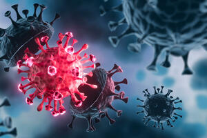 Registrovano 98 novih slučajeva koronavirusa