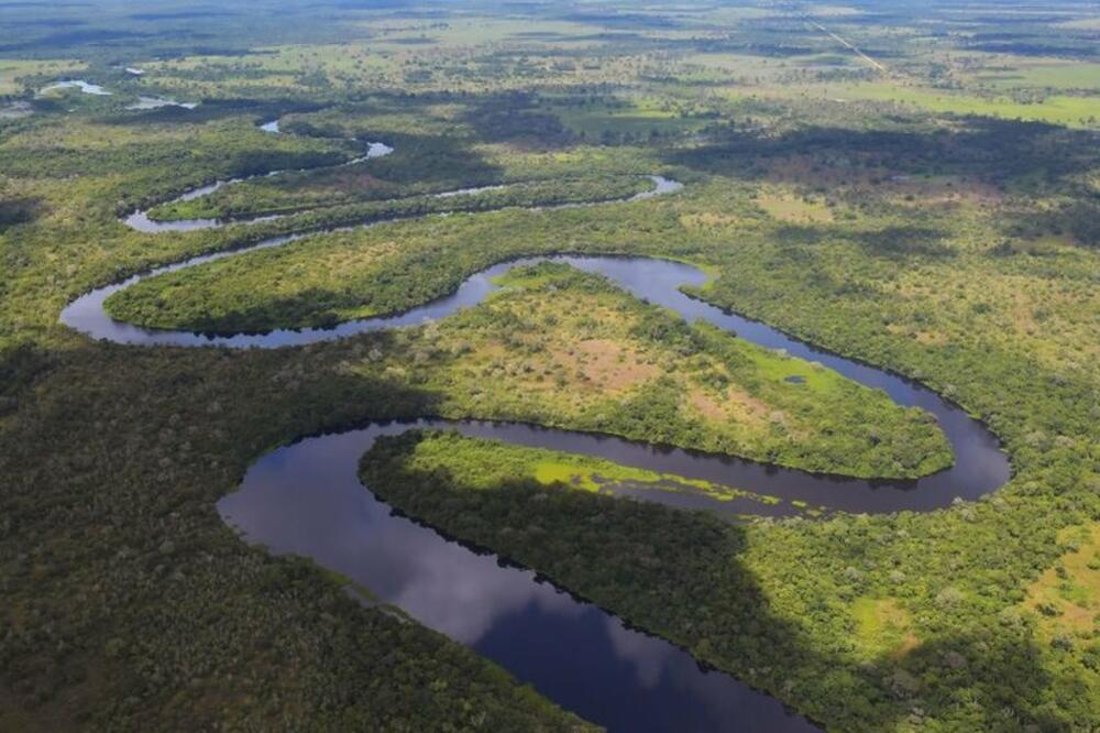 Pantanal je najveća močvara na planeti i nalazi se u Brazilu, Boliviji i Paragvaju, Foto: AFP