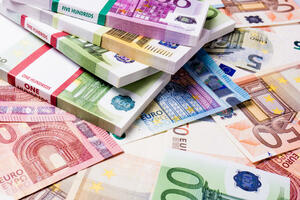 Budžetski suficit u januaru 53 miliona eura