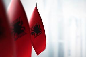 Albanija u Savjetu bezbjednosti UN