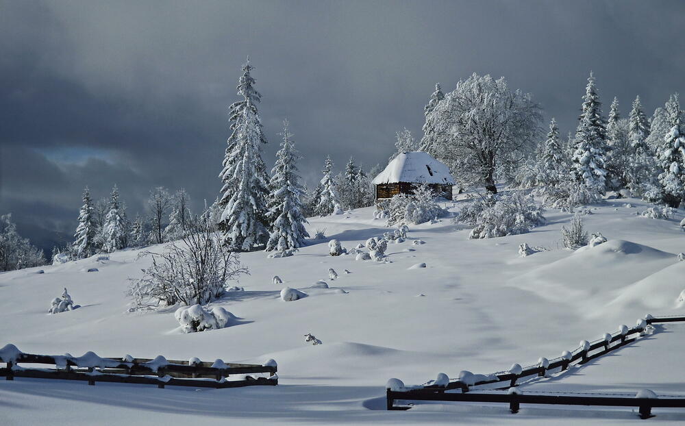 Zimska bajka Tara, Foto Miloš Karaklić