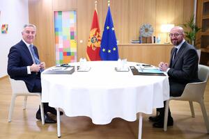 Đukanović- Mišel: Politička stabilnost ključna za napredak
