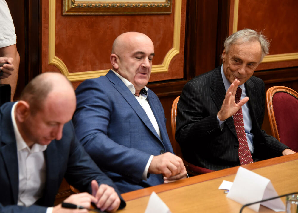 Nedorasla vlada i greške parlamentarne većine: Milan Knežević, Joković i Lekić 