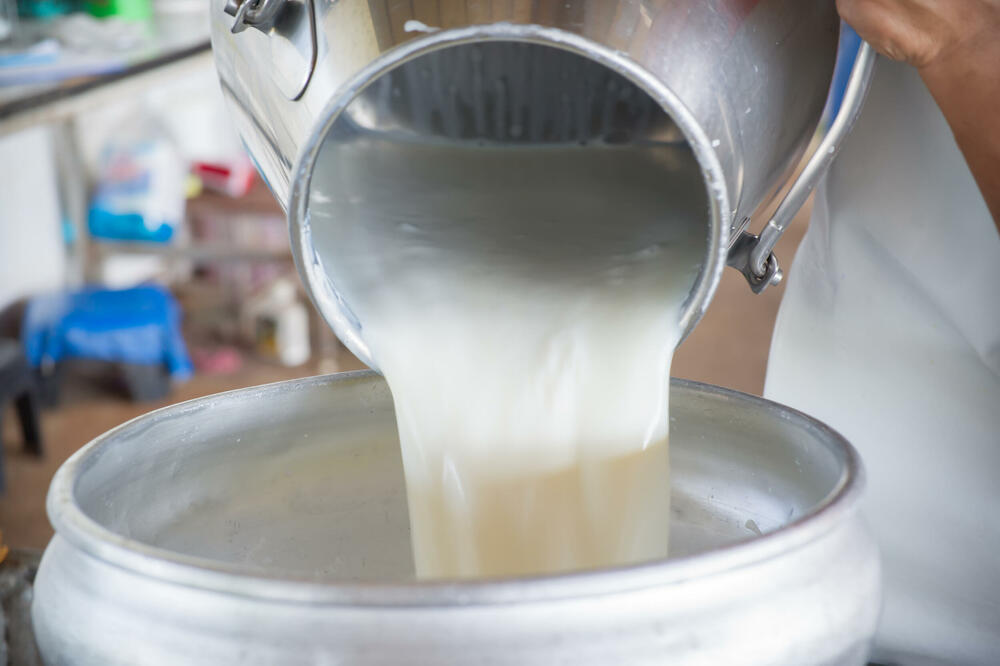 Otkupljeno više mlijeka u odnosu na prošlu godinu, Foto: Shutterstock
