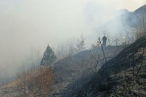 I danas požari u Kolašinu: "Situacija zahtijeva da smo neprestano...