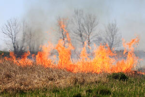 Nikšić: Požar u selu Orah, kuće nijesu ugrožene