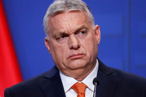 Orban na meti kritika zbog protivljenja miješanju rasa