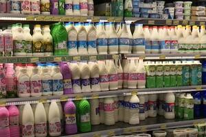 Vijesti u pola 7 - Mlijeko i mliječni proizvodi skuplji 12 posto