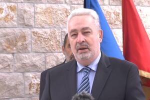 Krivokapić: Formiranje manjinske vlade je neustavno, mislim da...