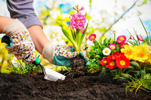 "Proljeće u mojoj bašti": Šaljite nam slike svoje bašte