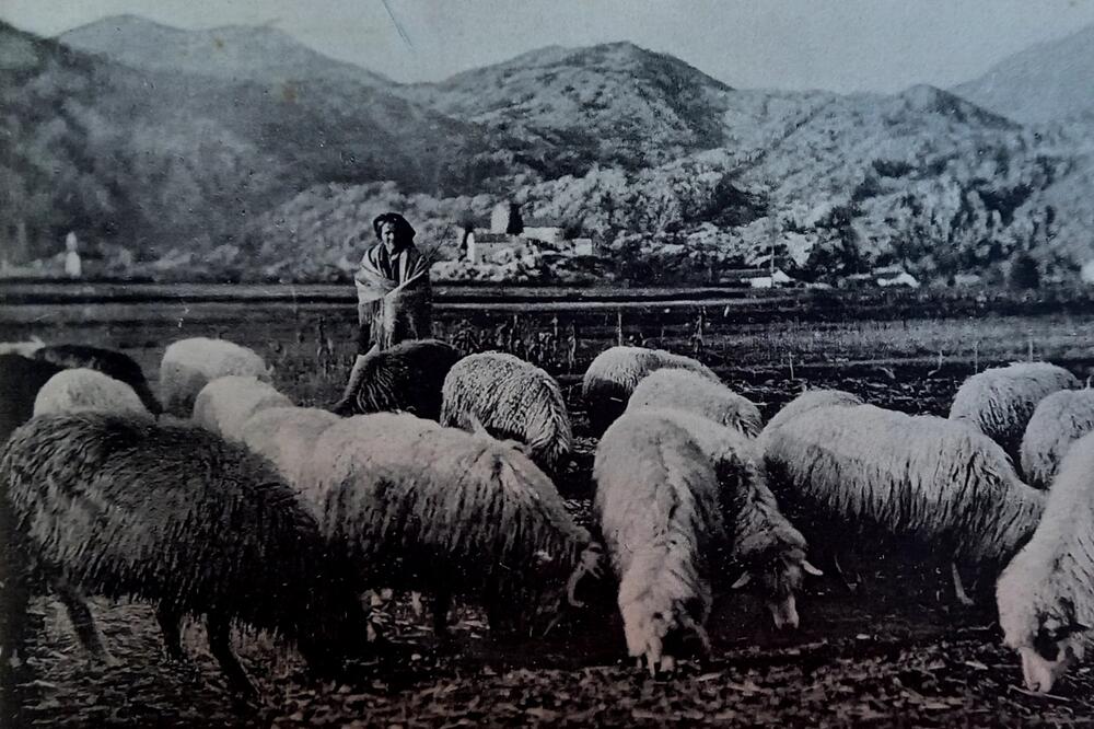 Čija zemlja toga i dvori, čija njiva toga i usijev: Cetinjsko polje krajem XIX vijeka, Foto: Privatna arhiva