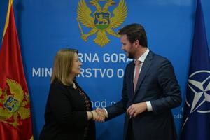Konjević - Rajnke: Ostajemo posvećeni izgradnji Crne Gore koja je...