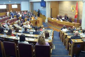 Jelušić: Zastupljenost žena u Parlamentu i dalje ispod prosjeka,...