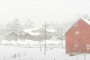 Sniježna mećava u Koloradu: Bez struje bilo 210.000 domaćinstava