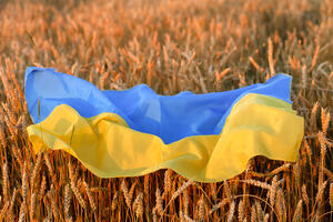Zarobljeno žito: Ukrajina ne može da izveze hranu