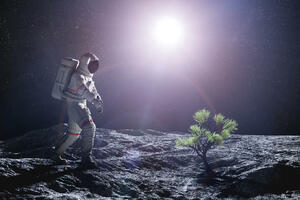 Pogledajte M:tech: Koje su biljke uzgojene u Mjesečevoj zemlji