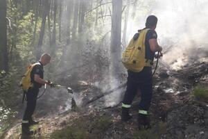 U park šumi Trebjesa izbila dva požara, Tadić: Namjerno su...