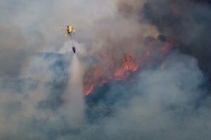 Broj požara u brazilskoj amazonskoj prašumi ovog mjeseca najviši u...