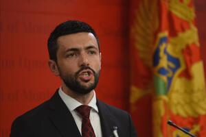 Živković: Neustavna inicijativa DF-a, žele parlament pretvoriti u...