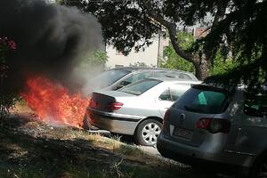 Požar u Podgorici: Vatra zahvatila i automobile (VIDEO)