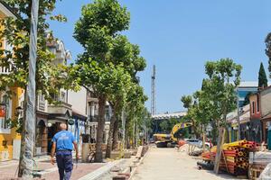 Radovi na rekonstrukciji Njegoševe ulice ušli u završnu fazu,...