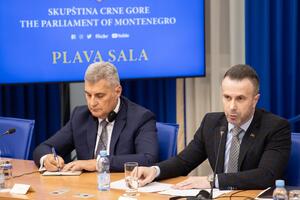 Bogdanović: Parlamentarna većina i Vlada su u teškim sukobima koji...
