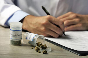 LP predala Skupštini predlog za medicinsku legalizaciju marihuane