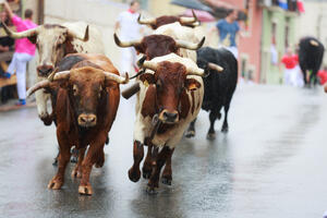 Tri osobe umrle nakon trke s bikovima u Španiji