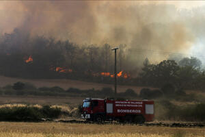 SZO: U požarima u Portugaliji i Španiji poginulo 1.700 ljudi