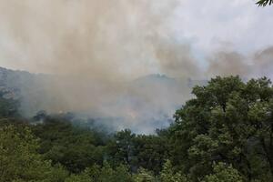 Požar većih razmjera na Bioču, gori i u Piperima