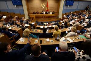 Paunović: Nacrt zakona o Skupštini trebalo bi da bude završen do...