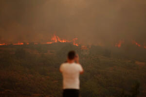 Šumski požar u Portugalu: Uništeno 10.000 hektara vegetacije na...