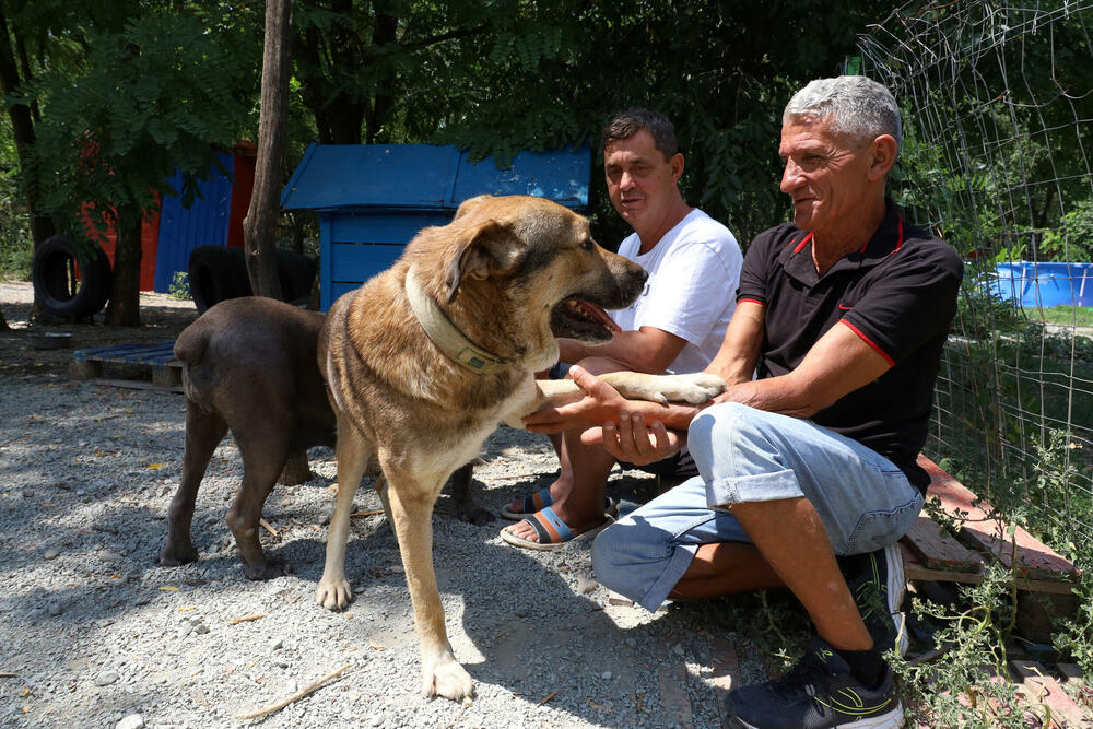 Mentor Gaši i Slaviša Stojanović u azilu za pse u blizini Gračanice