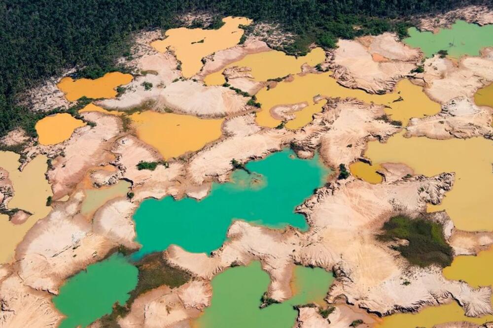 Rapidno nestaju najveće preostale šumske površine svijeta, Foto: Getty Images