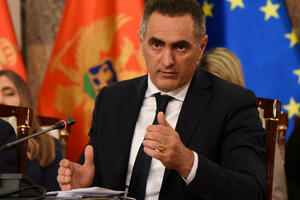 Damjanović: Budžet apsolutno održiv, čuvamo standard građana