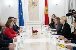 Đurović-Fajon: Svi politički akteri da daju doprinos izlasku iz...