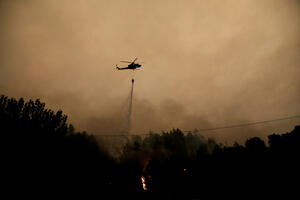 U Čileu u šumskim požarima nastradalo 13 osoba