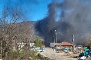 Komunalno Kotor: Požar iz neutvrđenih razloga izbio u blizini...