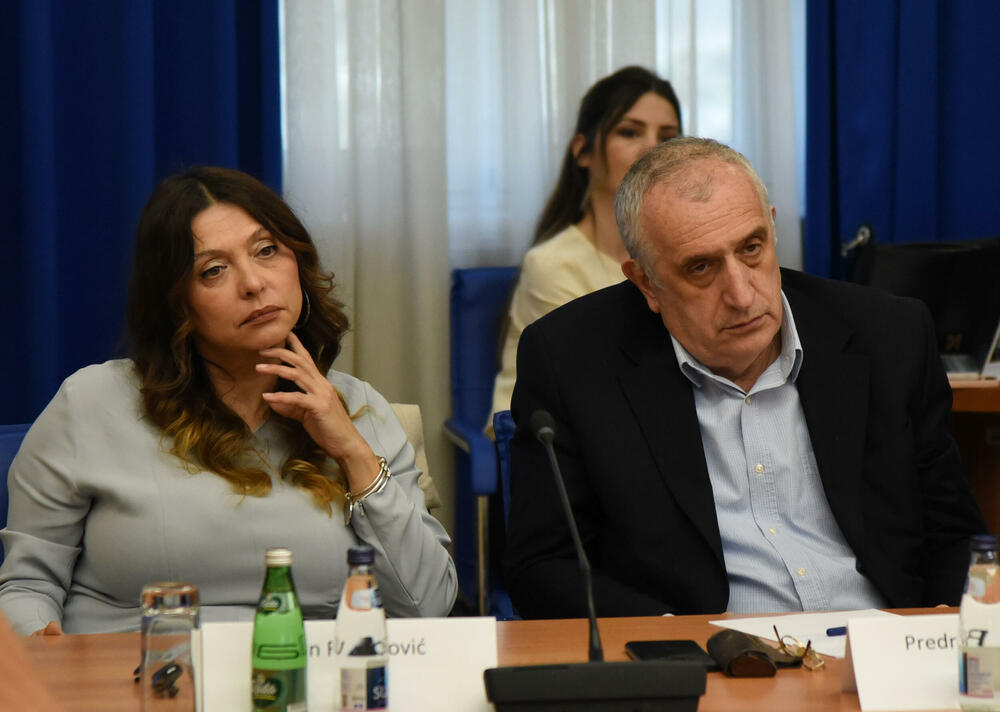 Odbor za bezbjednost i odbranu, Simonida Kordić