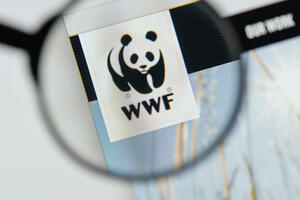 Rusija označila Svjetski fond za prirodu kao nepoželjnu...